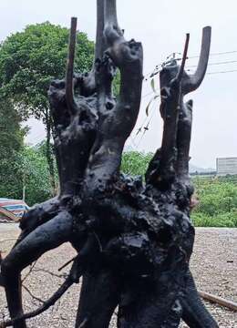 漂亮多多看上的来聊