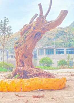 9个一起打包优惠出