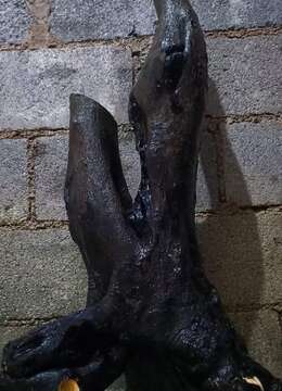 喜欢的速度，便宜出