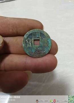 金弹子盆景价格金弹子树种园子风