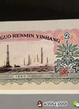 金弹子树桩盆景带土包邮金弹子