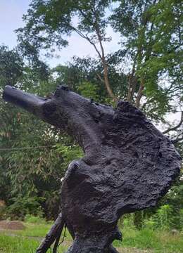 石头扁扁邻水怪桩