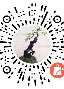 金弹子树桩盆景金弹子买卖价格