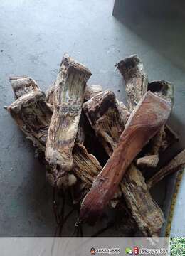 腊肉，自家粮食猪，吃不完了！有没有要滴，卖几块