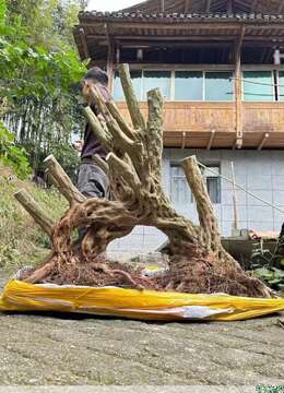 过桥漂亮，喜欢的来