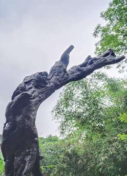 刚下筱⼀紀一颗漂亮怪弹临水