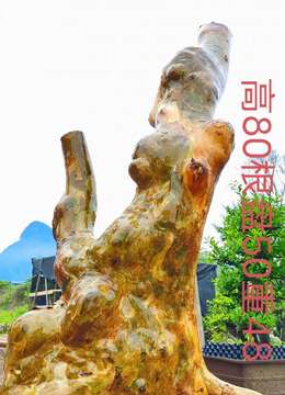 新鲜漂亮紫薇，老桩，一起打包价格美丽。