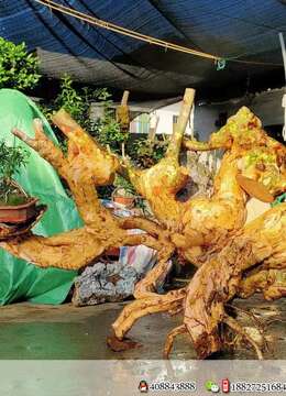 紫薇怪桩，有想法的老板来聊。