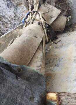 重量大约在3一顿左右，1m的位置44。高度6m多高