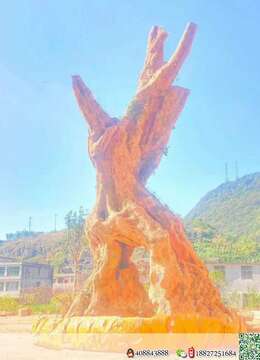 金弹子树桩盆景Θ岭南派金弹子零售∨