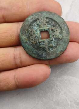 金弹子盆景价格树疙瘩金弹子怎么卖