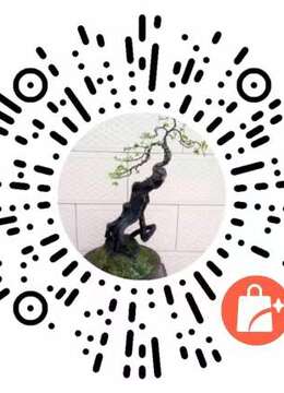 金弹子生桩金弹子疙瘩包