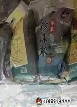 金弹子每年10-11月一定要施肥，明年才能结更多果果，出售我们基地一直在用的发酵有机肥！