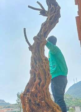 东西漂亮得很，全身都是纹路，喜欢的联系