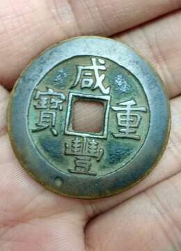 金弹子树桩盆景无锡金弹子树桩盆景能从哪买到