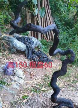 漂亮多多，看上联系