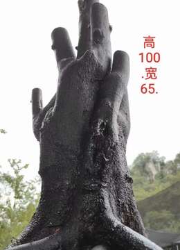 刚刚下山新鲜。漂亮大桩，熟桩，金弹子，有喜欢赶紧下单