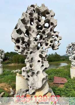 金弹子网金弹子树瘿