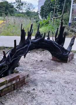 超级大过桥，看上来聊