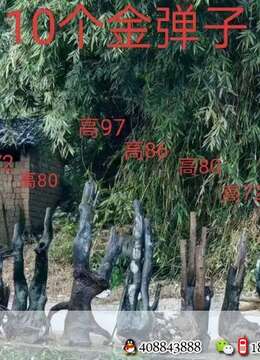 金弹子小品桩一起打包