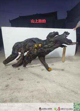 金弹子盆景价格精致小叶挂果金弹子