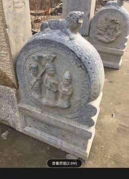 金弹子生桩悬崖金弹子如何运输