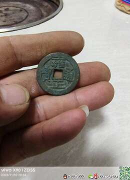 挂果金弹子金弹子的联系方式