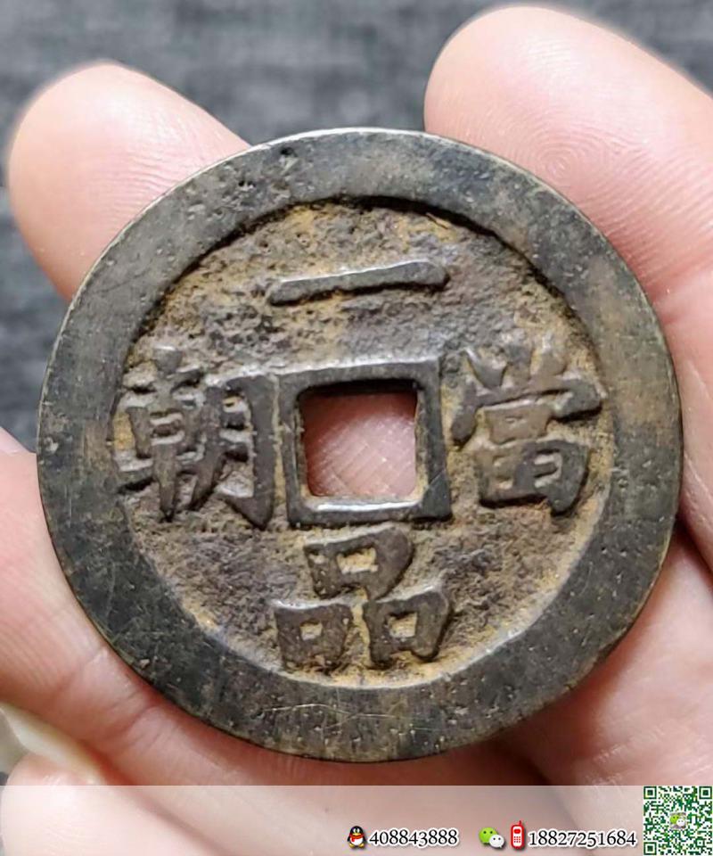 金弹子网金弹子◆黄山金弹子老桩