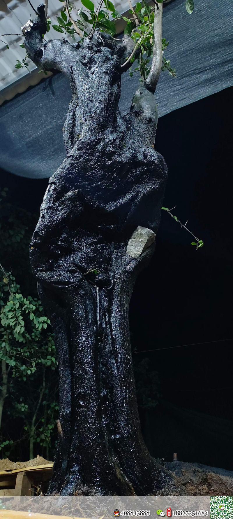 漂亮石头扁扁货。几年熟桩金弹子,有喜欢赶紧下单