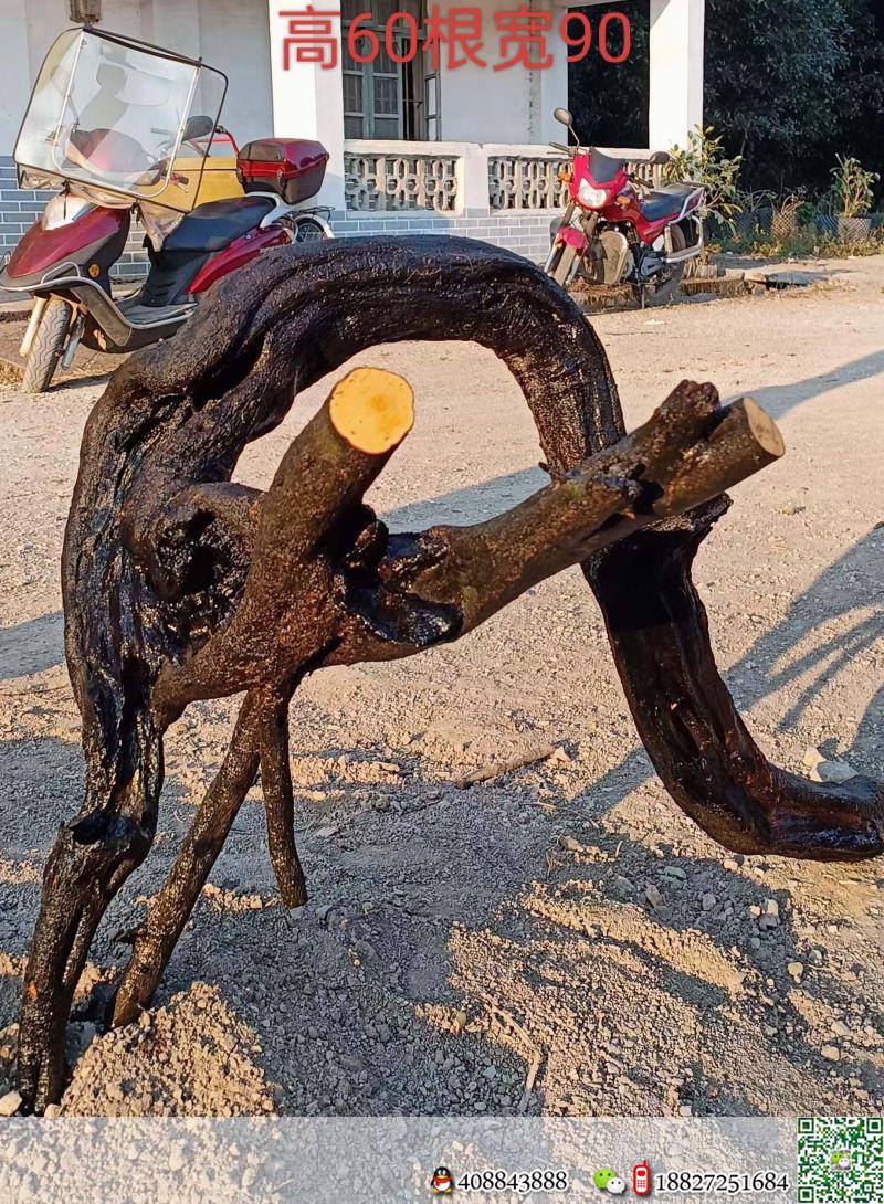 金弹子网金弹子买卖价格