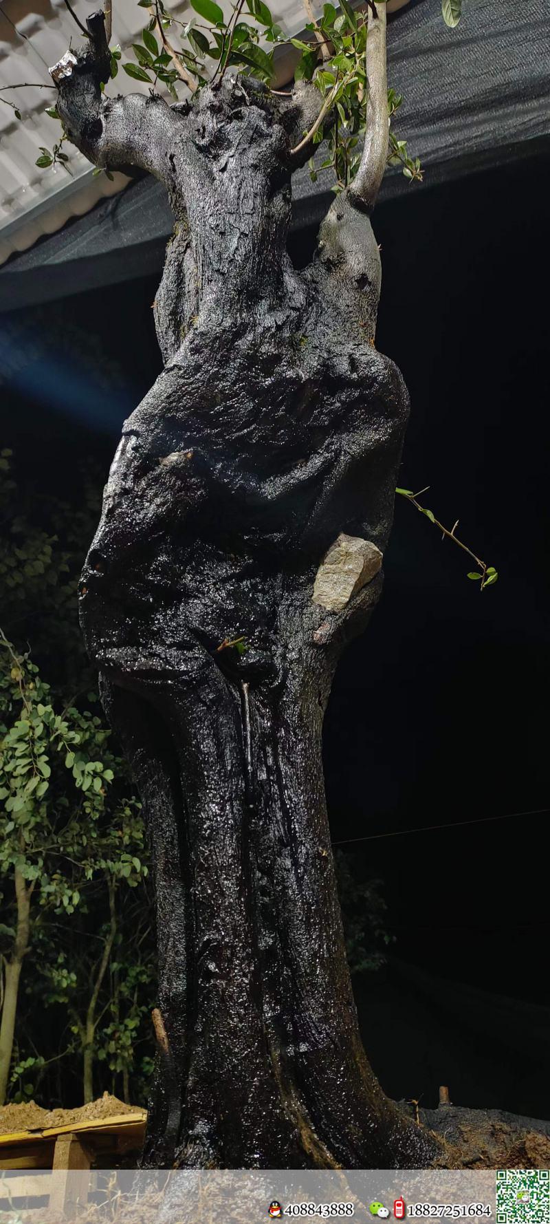 漂亮石头扁扁货。几年熟桩金弹子,有喜欢赶紧下单